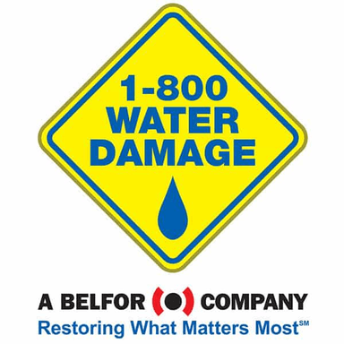 1-800 Water Damage of Southeast Michigan